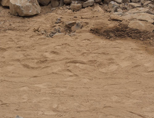 Footprints of Occupation Soldiers left at construction site Photo Report: Zionist Troops Cross Border, Steal equipment from Lebanese Tourist Site Under Construction