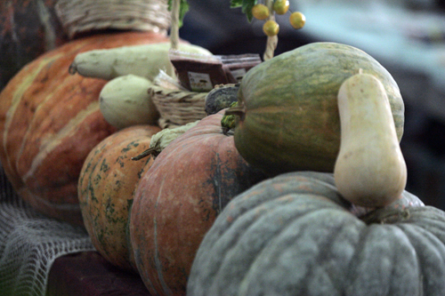 pumpkins