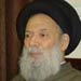 Fadlallah: Moghnieh martyrdom will not discourage us