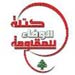Loyalty to the Resistance bloc: Speaker Berri performance exemplary 