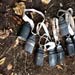 Cluster-bomb activists visit army deminers