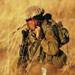 Occupation Army Planning Largest-Ever Drill to Prepare 