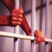 Prison walls