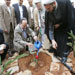 Al-Quds olives tree a gift to Sayyed Nasrallah... Planted in Sayyed Shohada complex