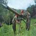 Hizbullah... ’The regional super power’ after ’Israel´s’ July aggression