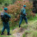 Hizbullah and 