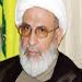 Sheikh Yazbek: Hizbullah Seeks Permanent Resolution for Lebanon