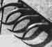 Whitney From Washington Writes: Independent Investigation or US-“Israeli” Cat’s Paw?