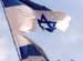 “Israeli” Fears Increase as Anti-Regime Uprisings Sweep Across Region