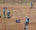 CCM: Clear Hopes for a Cluster-Bomb-Free Lebanon