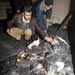 2011: Zionist Settlers Violate Sanctities of 96 Mosque and Churches Combined