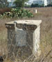 “Israelis” Use Muslim Cemetery as Parking Lot in Ashkelon