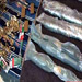 Customs Seize Lebanese Tourist Car Loaded with Weapons 