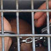 10 Palestinian Hunger Strikers in Hospital, Hamas Threatens ’’Israel’’