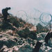 DIARY OF RESISTANCE OPERATIONS -FEBRUARY 1995