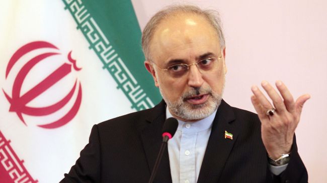 Progress in Moscow Talks Depends on Mutual Trust Building: Salehi