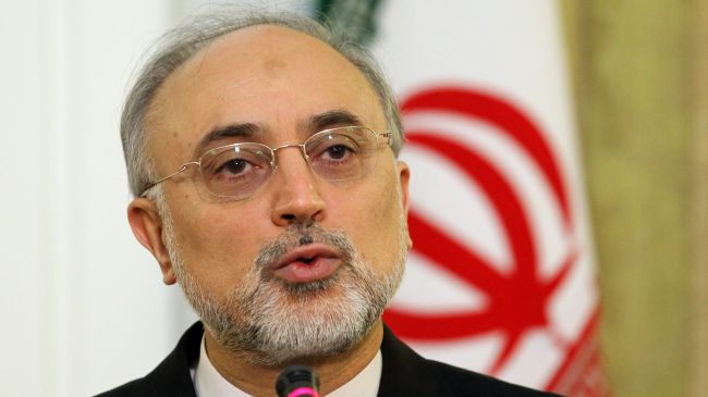 FM Salehi: Resistance Driving Force of Iran’s Advances