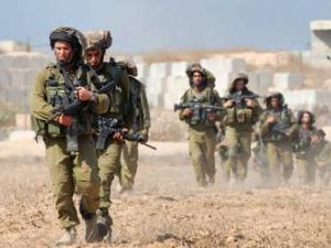 Ynet News: “Israel” Files Complaint at UN against Lebanese Sheep Flock!