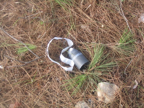 Lebanese Woman Martyred as Landmine Explodes in Marwaheen