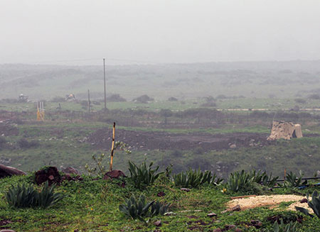 In Photos: Irregular 