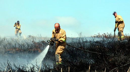 Wildfires Loom in UK as Crops Endangered