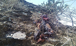KSA Bombs Aid Truck in Yemen’s Saada