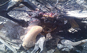 KSA Bombs Aid Truck in Yemen’s Saada