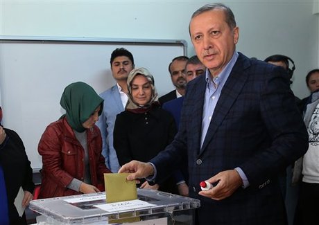 Erdogan's AKP Wins Majority in Turkey Vote