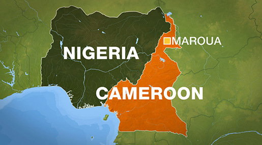 At Least 19 Killed as Suicide Attack Hits N. Cameroon