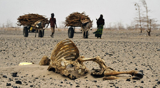 Food Shortages Hit Millions in Ethiopia