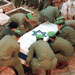 DIARY OF RESISTANCE OPERATIONS -MAY 1995