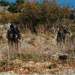 DIARY OF RESISTANCE OPERATIONS -OCTOBER 1995