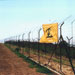 DIARY OF RESISTANCE OPERATIONS -- AUGUST 1996