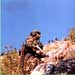 DIARY OF RESISTANCE OPERATIONS -- MAY 1997