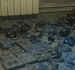 Syria: Authorities Stop Terrorist Group Smuggling Arms through Iraqi-Syrian Borders 