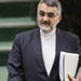 Boroujerdi: Egyptian-Iranian Ties Enhanced, West-Linked Crisis Sees Settlement