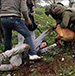 Legalists: Benefit from Footage of 