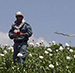 Drugs: US Weapon for Mass, Profitable Destruction