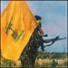 DIARY OF RESISTANCE OPERATIONS – NOVEMEBER 2000