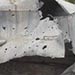 Syrian Armed Groups Shell Hermel 