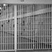 Saudi Political Prisoners Declare Strike