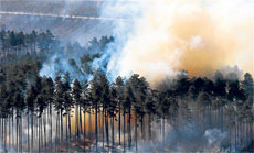 Wildfires Loom in UK as Crops Endangered