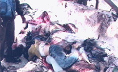 Diary of the April 1996 Aggression: April 14