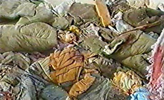 Diary of the April 1996 Aggression: April 17