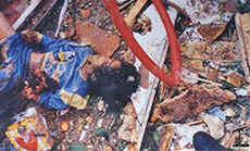Diary of the April 96 Aggression - April 23