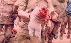 Diary of the April 96 Aggression - April 21