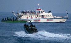 
Turkish Court Order Arrest of ’Israeli’ Military Chiefs over Flotilla Massacre