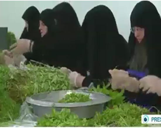 Imam Reza Hosts 12 Thousand Guests Daily for Iftar