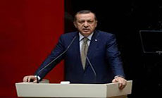 Dozens of Turkish Police Detained Over ’Anti-Gov’t Plot’: Media