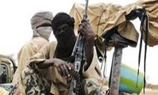 Cameroon Army Kills More than 100 Boko Haram Fighters